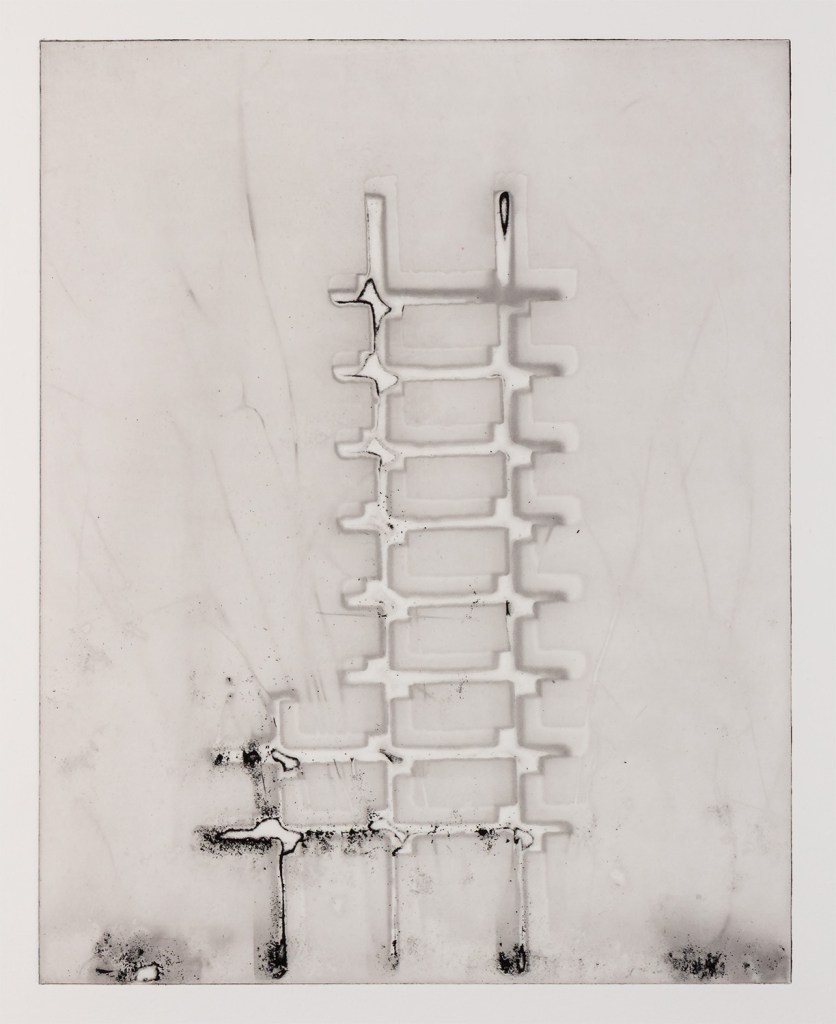 An etching from Scaffolds: Photogravure, 2025, by Matt King. Polymer photogravure etching.